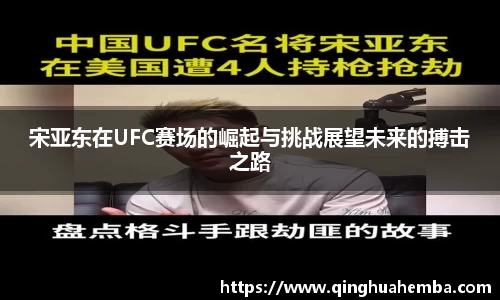 宋亚东在UFC赛场的崛起与挑战展望未来的搏击之路