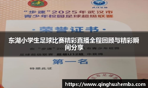 东湖小学生足球比赛精彩直播全程回顾与精彩瞬间分享