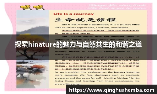 探索hinature的魅力与自然共生的和谐之道